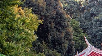 Japanse tuin