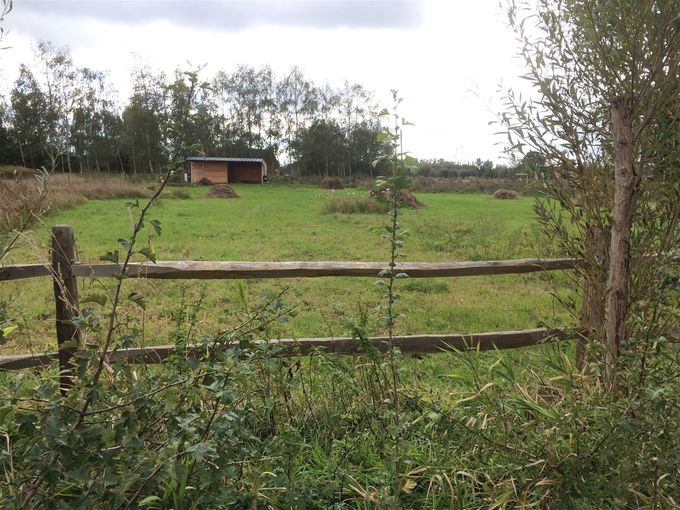 11 oktober 2020, Zicht van op het weggetje