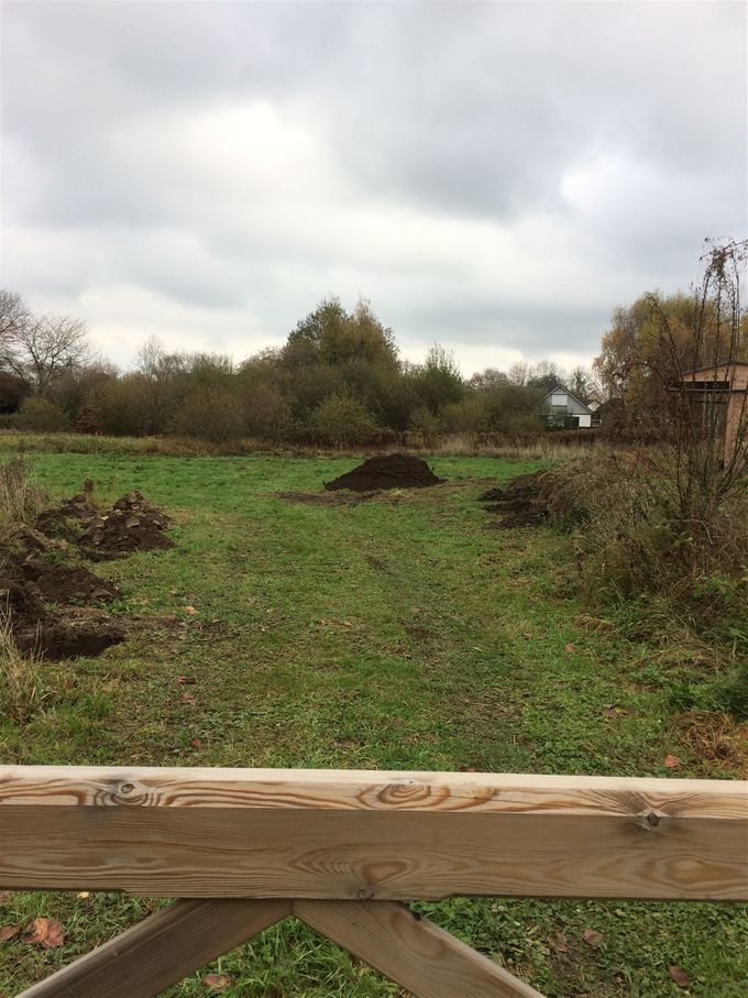 En neen dit is geen molshoop  -  11 november 2020