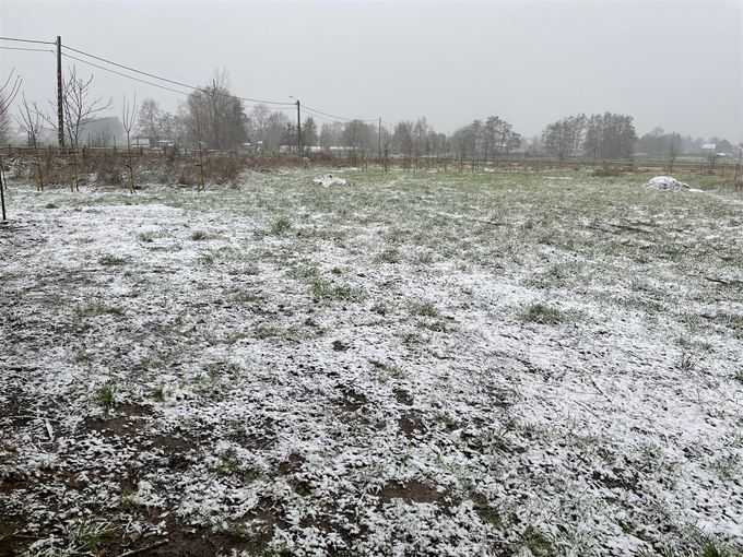 Eerste sneeuw  -  16 januari 2021