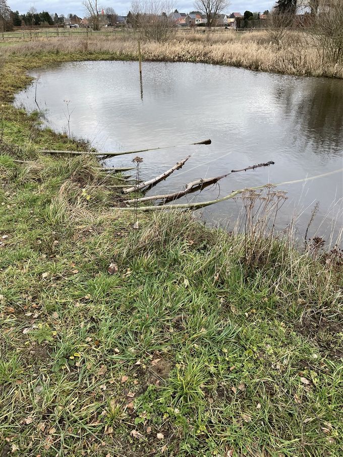 Nog even en de wilgentakken drijven weg...  -  22 januari 2021