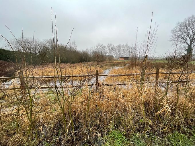 de paden zijn wateren geworden...  -  1 februari 2021