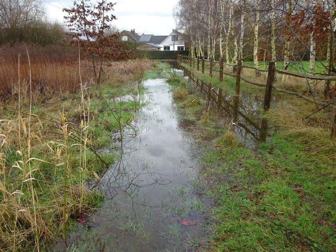 Toekomstige wandelweg is even weg...  -  3 februari 2021