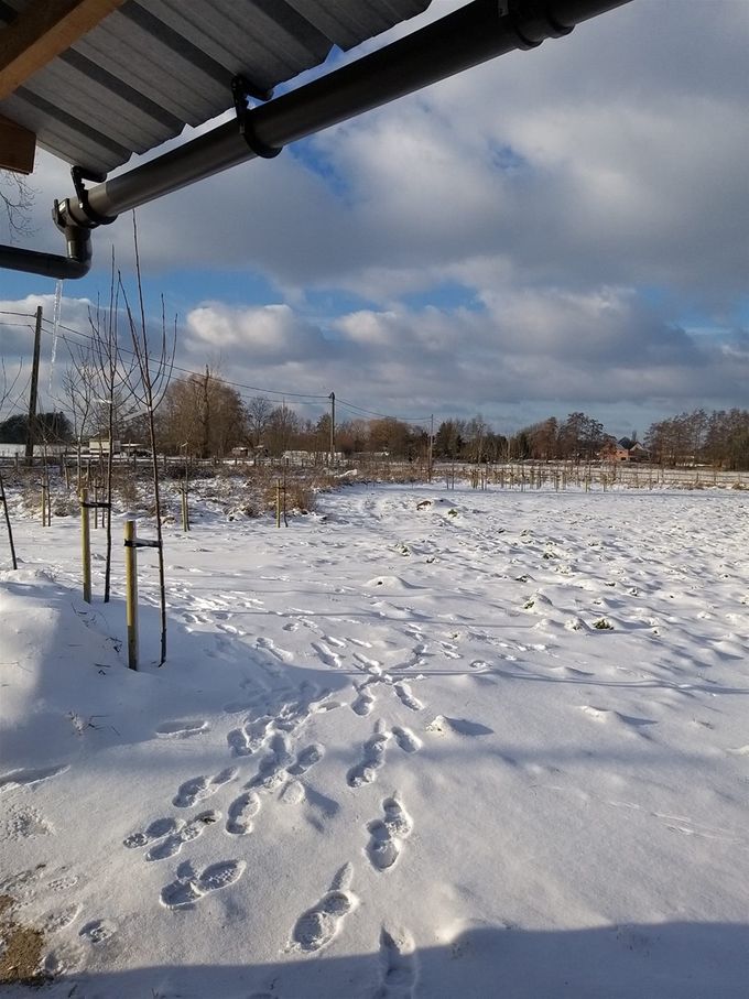 Eens van de binnenkant van 't Ebroekske  -  10 februari 2021