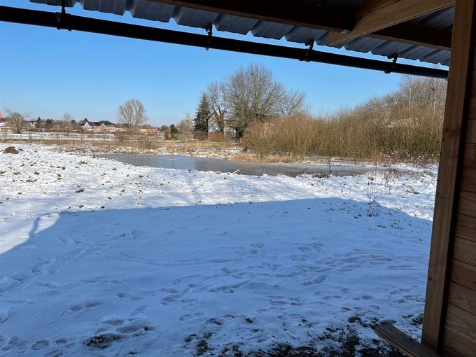 Gewoon zalig...  -  12 februari 2021