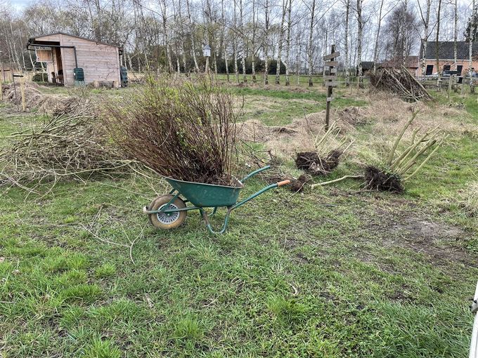 Planten uit de tuin worden herplant  -  15 maart 2021