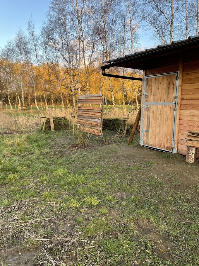 Vogelkijkwand in wording  -  20 maart 2021