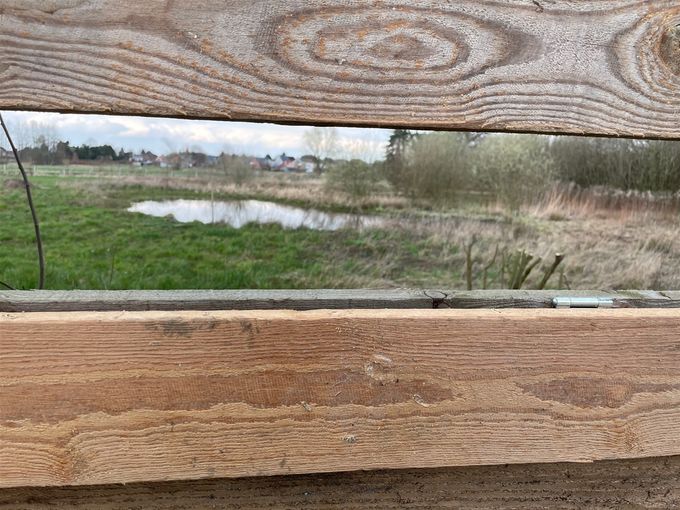 Zicht vanachter de vogelkijkwand  -  25 maart 202