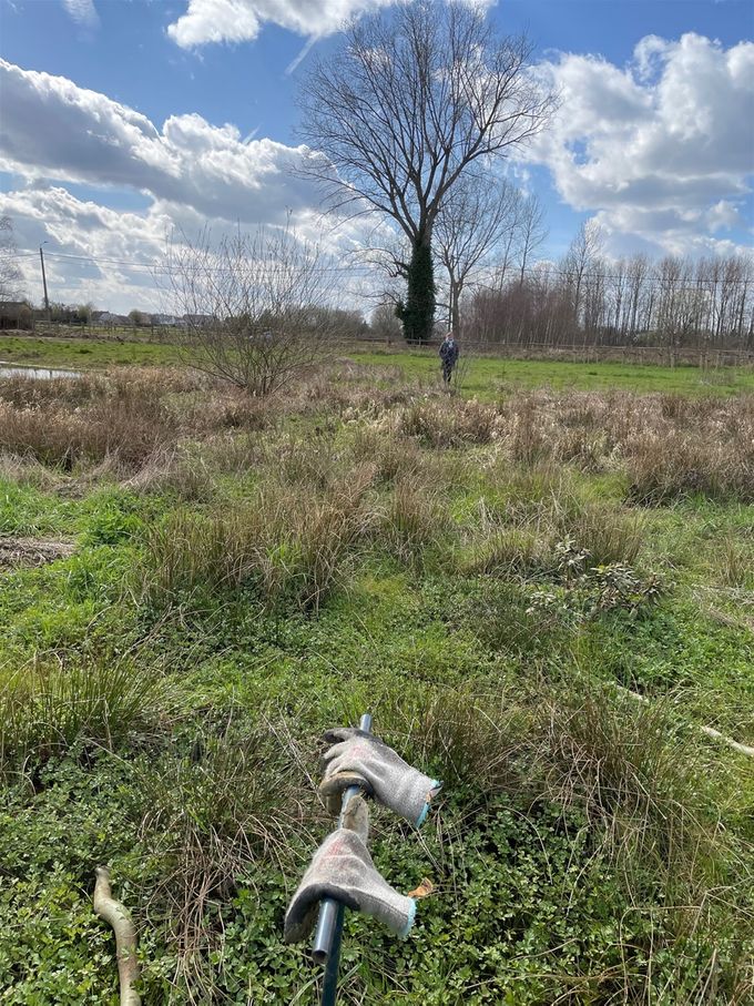 29 maart 2021  -  Prachtige wolken bij het planten van de Krulwilg