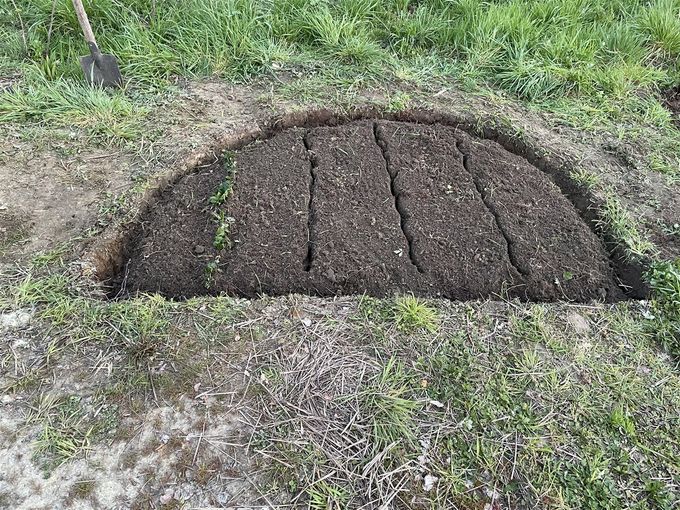 De eerse aardbeien zijn geplant... dd 19 april 2021