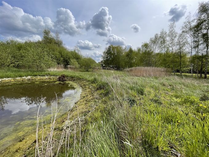 Ook hier mooie wolken boven en in de poel...