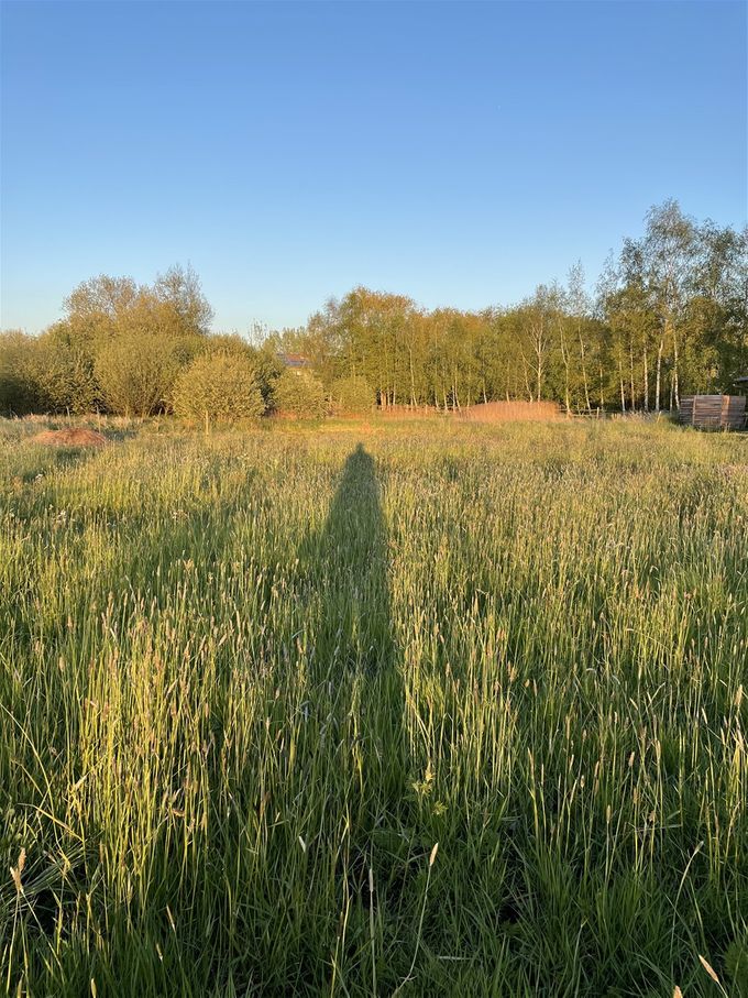 Lange schaduw bij lage zon
