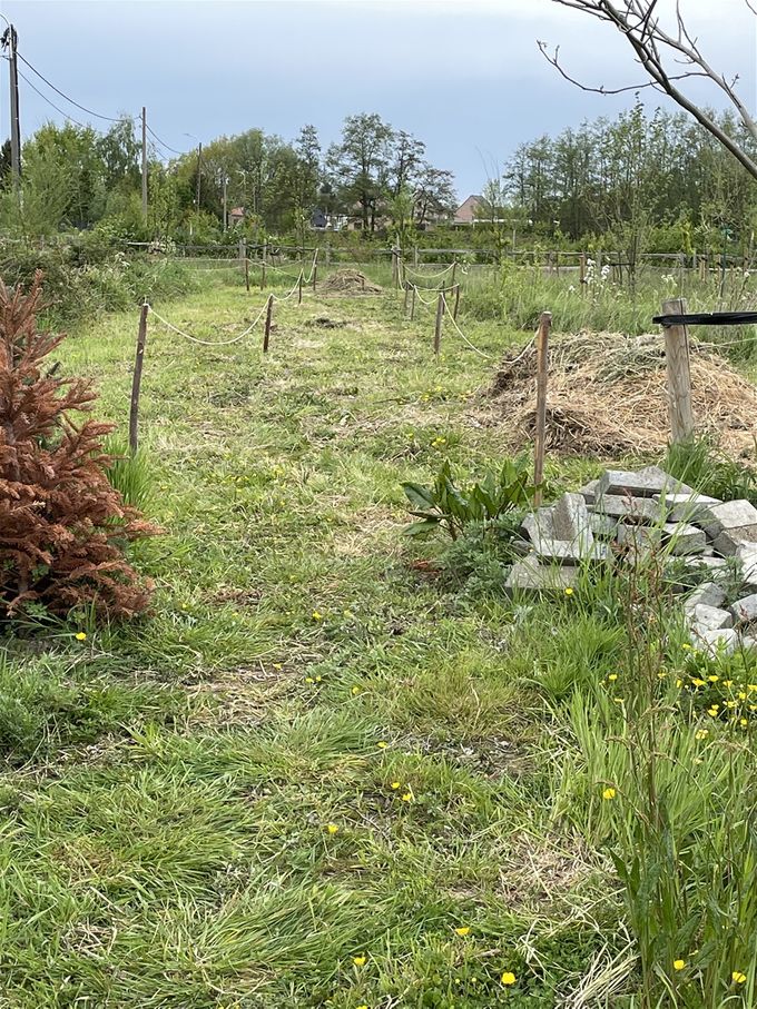 Het paadje aan hoogveld is afgebakend... nu de klinkers nog stapelen tot stapelmuurtje.