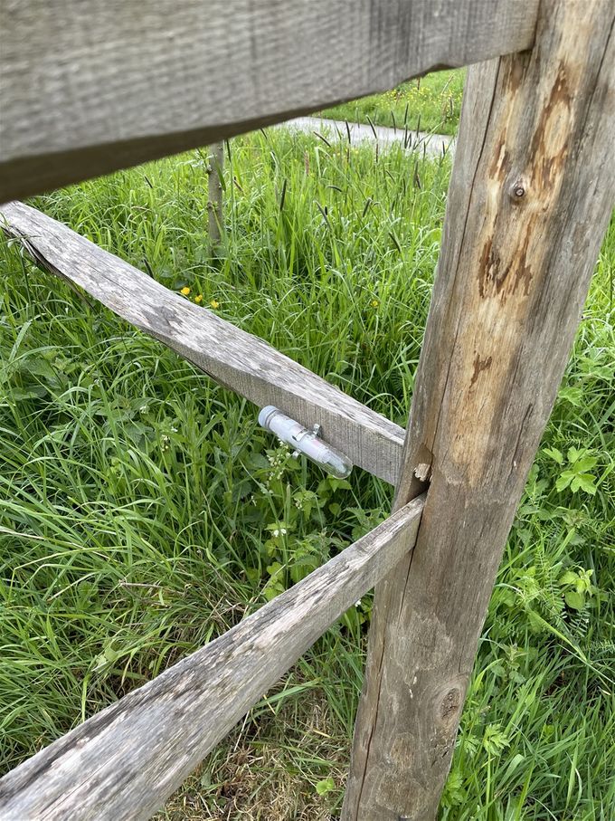 Rarara,  wat is dit?