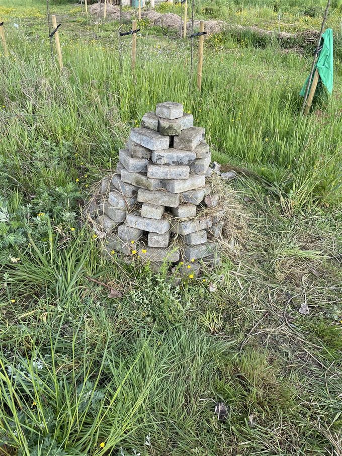 Een eerste stapelmuurtje of beter stapeltorentje is gebouwd, benieuwd wie daarin komt wonen...