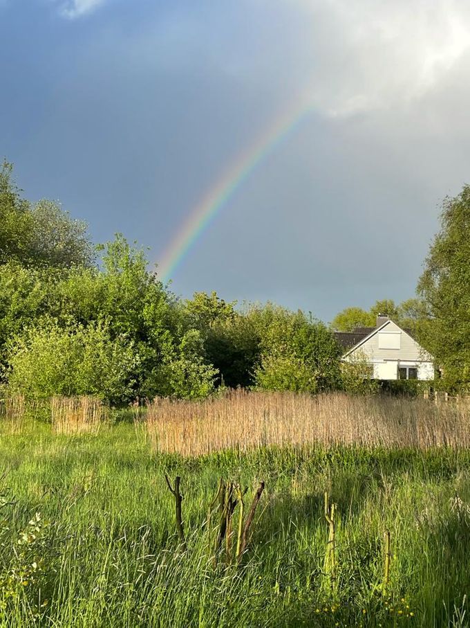 Gewoonweg mooi...