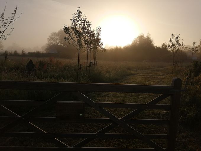 Zonsopgang aan de poort (foto van AM omstreeks 06u30 dd 28 mei 2021)