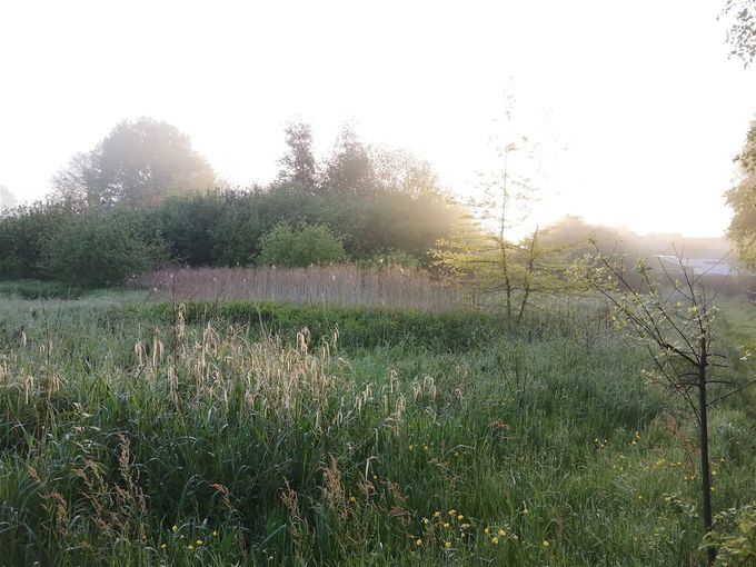 Ochtendsfeer (foto AM)