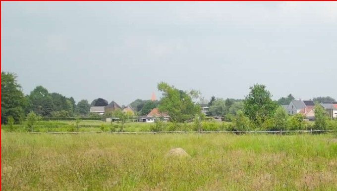 Roek op de peilpaal in de poel...
