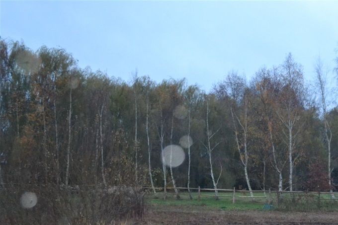Uit de oude doos... Net gegraven poel graven bij regenweer