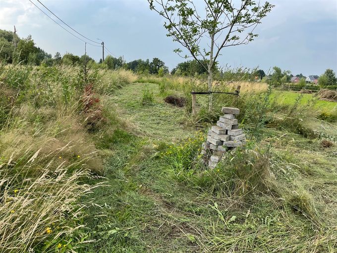 De Kaardebol mocht blijven staan...