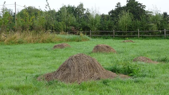 Waar is de speld... (foto CdC)