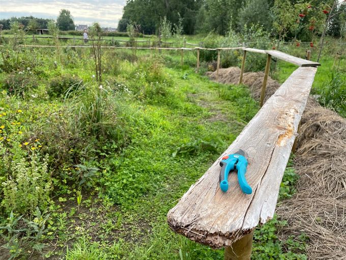 Een boerenomheining rond de bijentuin in wording...