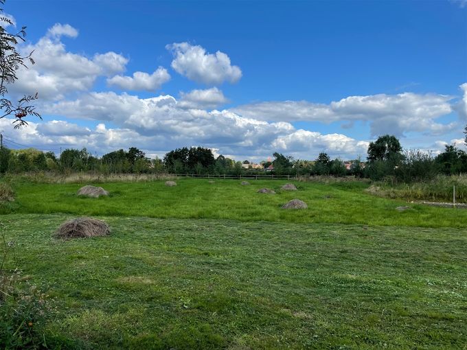 Mooie wolken boven 't Ebroekske...