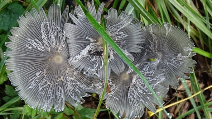 Gewoon mooi ... (foto CdC)