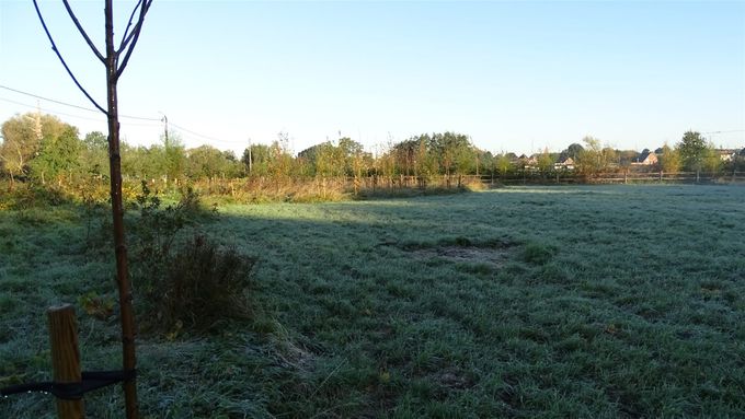 Dit was met de eerste vrieskoude... (foto CdC)