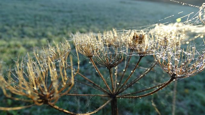 Ochtendbeeld... (foto CdC)