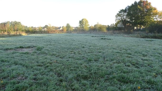 Heerlijke herfstochtend... (foto CdC)