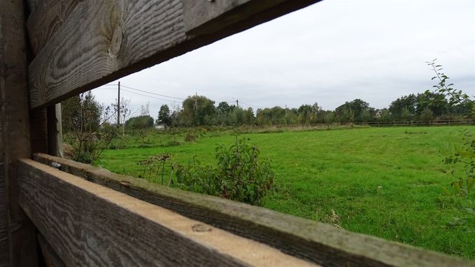 Vanuit de vogelkijkwand gekeken en gekiekt... (foto CdC)