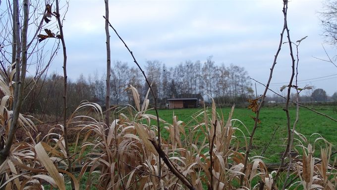 Een doorkijkje door de bladloze Meidoornhaag... (foto CdC)