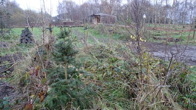 Er mogen gerust nog wat sparren bij... (Foto CdC)