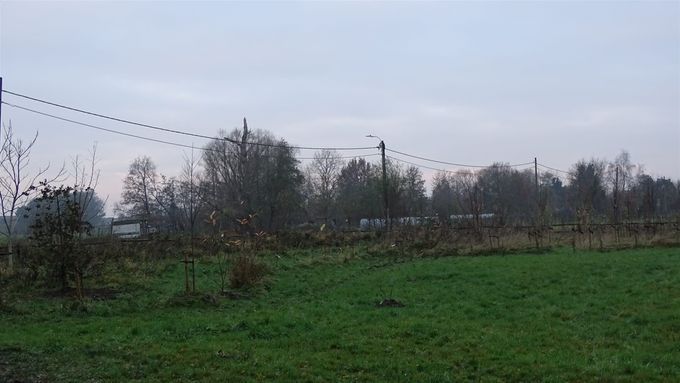 Wellicht zal hier binnen 5 jaar een gemengde haag zichtbaar zijn, bevolkt met leuke zangers... (foto CdC)