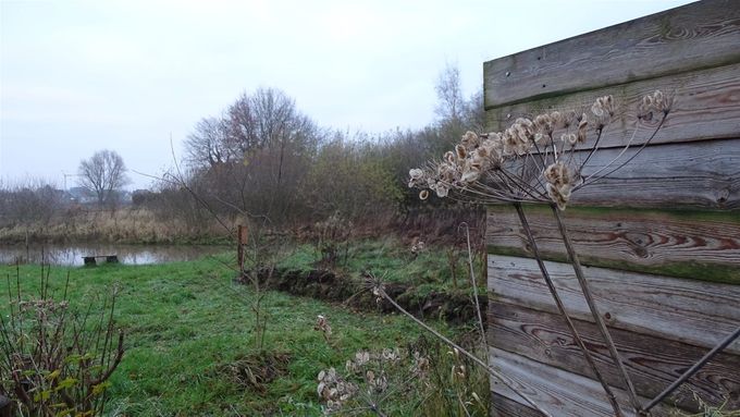 De nieuwe wal richting poel... (foto CdC)