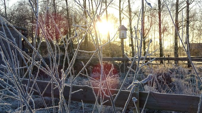 Een winterzonnetje... (foto CdC)