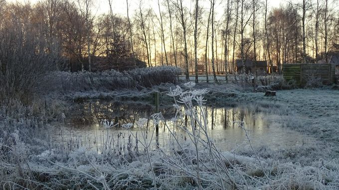 Een waar Kerstbeeld... (foto CdC)