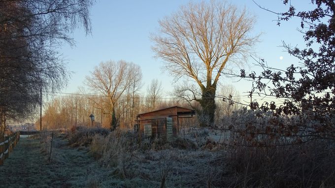 Winter...