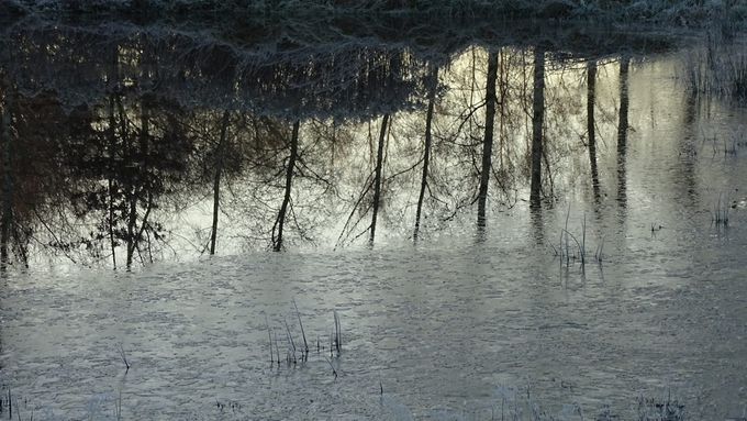 Spiegeltje spiegeltje aan't Ebroekske... (foto CdC)