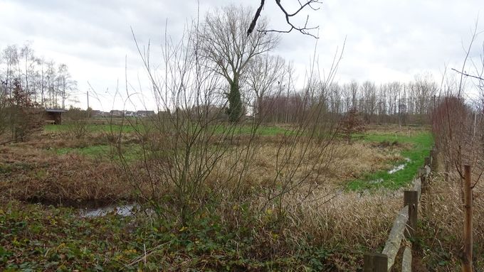 Het is niet voor niets een overstromingsgebied... (foto CdC)