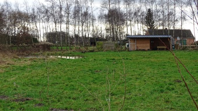 Bomen staan er kaaltjes bij... (foto CdC)