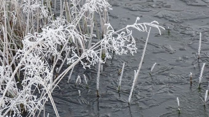 Gewoon mooi... (foto CdC)