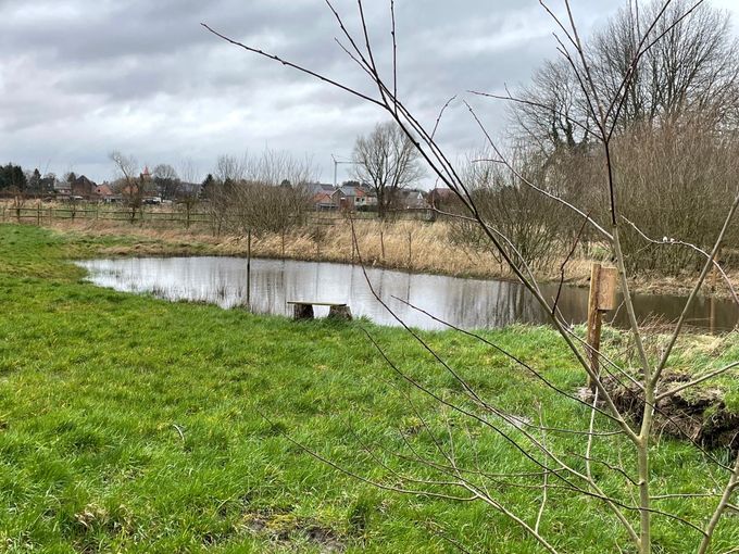 Heel soms voel je de lente al....