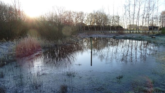 Als een paal onder water... (foto CdC)