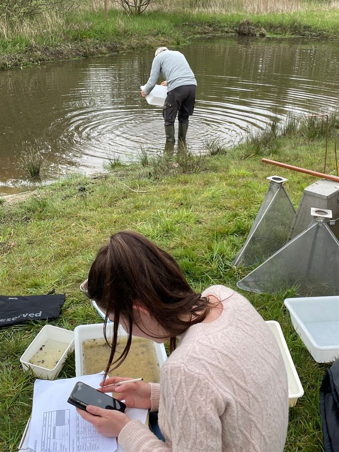Eerste poelinventarisatie door 'Natuur en landschap' ...