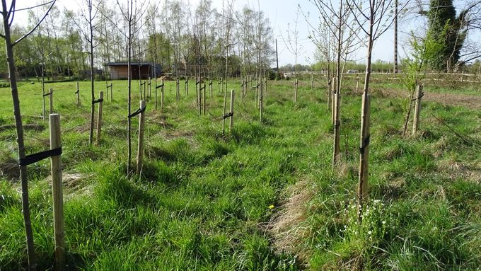 Dreef in wording... (foto CdC)
