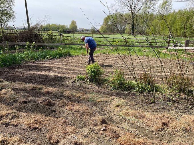 De zaaier in actie...