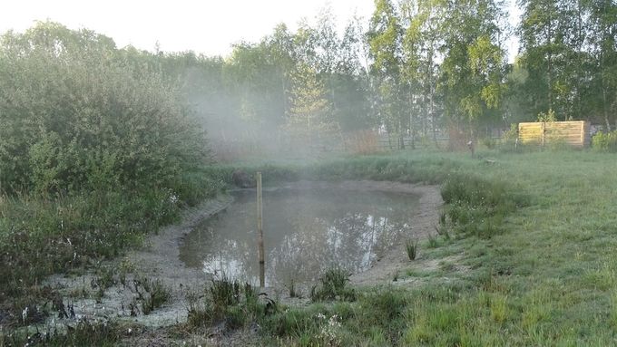 Misty morning... (foto (CdC)